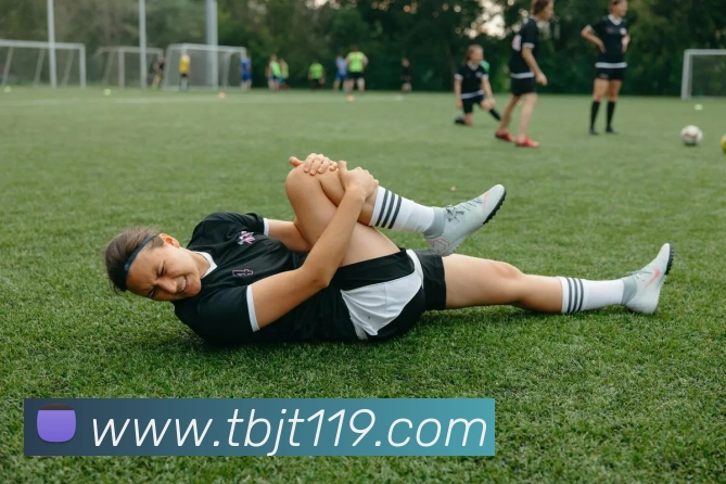 yb体育平台生态图